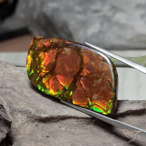 amolita Multicolorido Natural 26.89ct, Chique, Opaco
