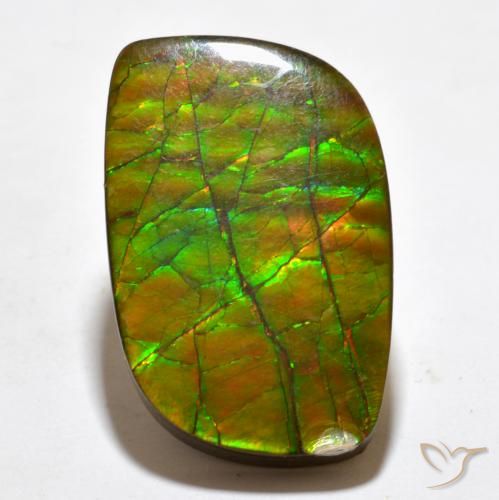 19.27ct Natural Multicolorido amolita, Chique, Opaco