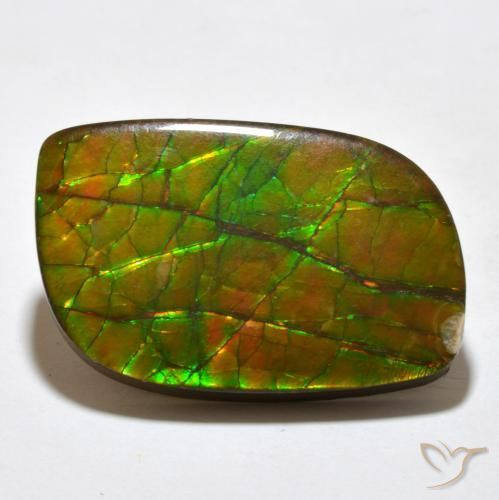 amolita Multicolorido Natural 19.27ct, Chique, Opaco
