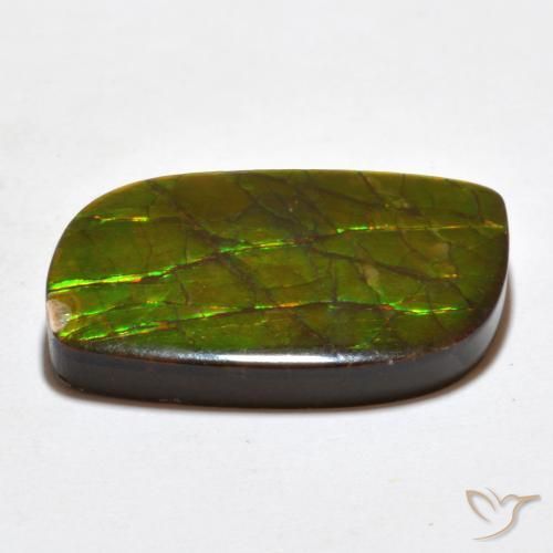 amolita Multicolorido Natural 19.27ct, Chique, Opaco