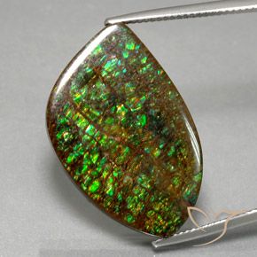 21.29ct Natural Multicolorido amolita, Chique, Opaco
