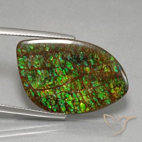 amolita Multicolorido Natural 21.29ct, Chique, Opaco