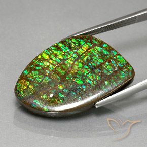 amolita Multicolorido Natural 21.29ct, Chique, Opaco