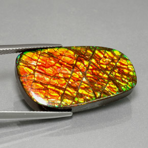 Ammolita multicolorido natural 30,98ct, forma extravagante, opaco