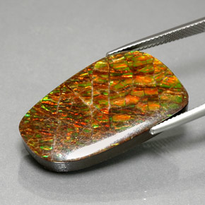 Ammolita multicolorido natural 30,98ct, forma extravagante, opaco