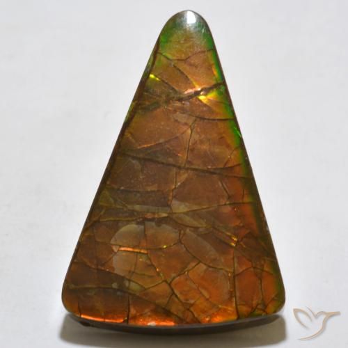 20.44ct Natural Multicolorido amolita, Trilhão, Opaco