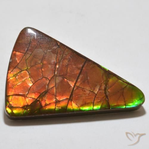amolita Multicolorido Natural 20.44ct, Trilhão, Opaco