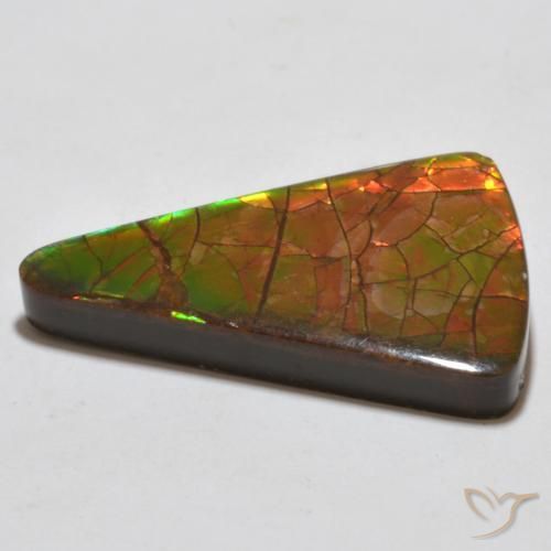 amolita Multicolorido Natural 20.44ct, Trilhão, Opaco