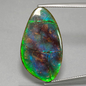 Ammolita multicolorido natural 18,18ct, forma extravagante, opaco