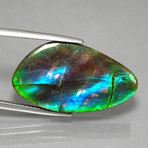 Ammolita multicolorido natural 18,18ct, forma extravagante, opaco