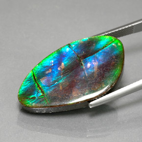 Ammolita multicolorido natural 18,18ct, forma extravagante, opaco