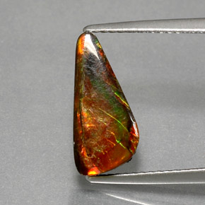 Ammolita multicolorido natural 3,13ct, forma extravagante, opaco