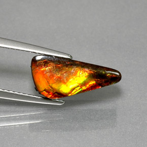 Ammolita multicolorido natural 3,13ct, forma extravagante, opaco