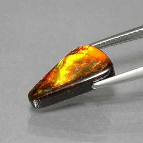 Ammolita multicolorido natural 3,13ct, forma extravagante, opaco