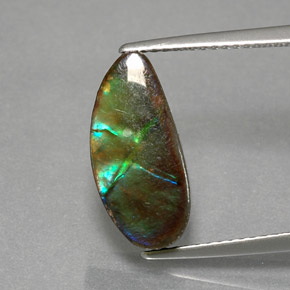 Ammolita multicolorido natural 4,32ct, forma extravagante, opaco