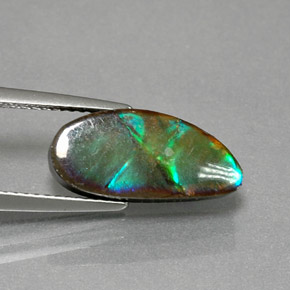 Ammolita multicolorido natural 4,32ct, forma extravagante, opaco