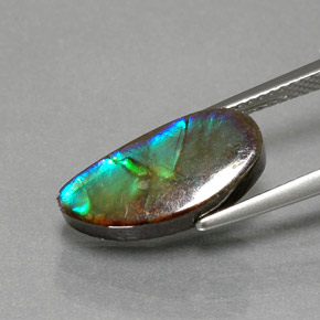 Ammolita multicolorido natural 4,32ct, forma extravagante, opaco