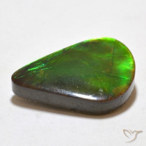 amolita Multicolorido Natural 7.77ct, Chique, Opaco