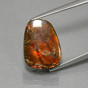 Ammolita multicolorido natural 7,76ct, forma extravagante, opaco