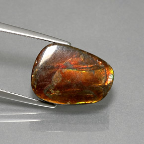 Ammolita multicolorido natural 7,76ct, forma extravagante, opaco
