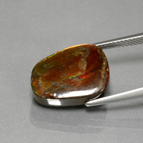 Ammolita multicolorido natural 7,76ct, forma extravagante, opaco