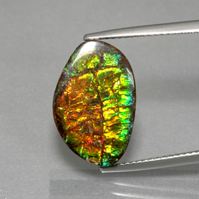 Ammolita multicolorido natural 7,40ct, forma extravagante, opaco