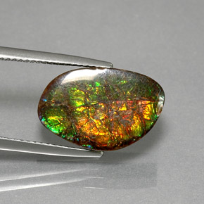 Ammolita multicolorido natural 7,40ct, forma extravagante, opaco