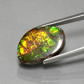 Ammolita multicolorido natural 7,40ct, forma extravagante, opaco
