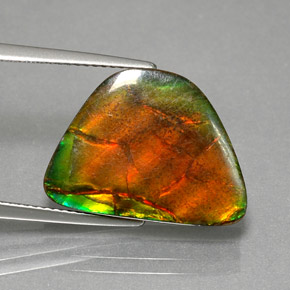 Amolita Multicolorido Natural 9.79ct, Forma extravagante, Opaco