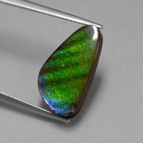 Ammolita multicolorido natural 6,53ct, forma extravagante, opaco