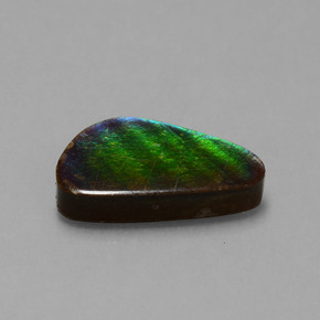 Ammolita multicolorido natural 6,53ct, forma extravagante, opaco