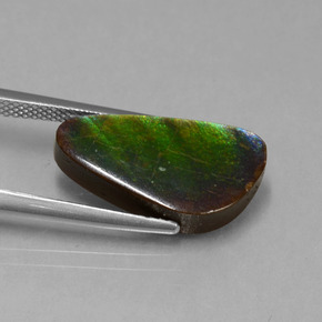 Ammolita multicolorido natural 6,53ct, forma extravagante, opaco