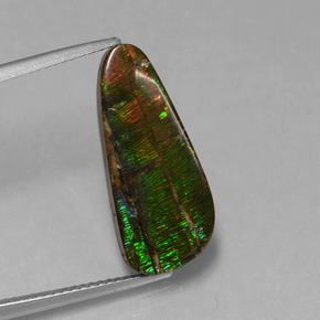 Amolita Multicolorido Natural 7.96ct, Forma extravagante, Opaco