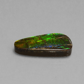 Amolita Multicolorido Natural 7.96ct, Forma extravagante, Opaco