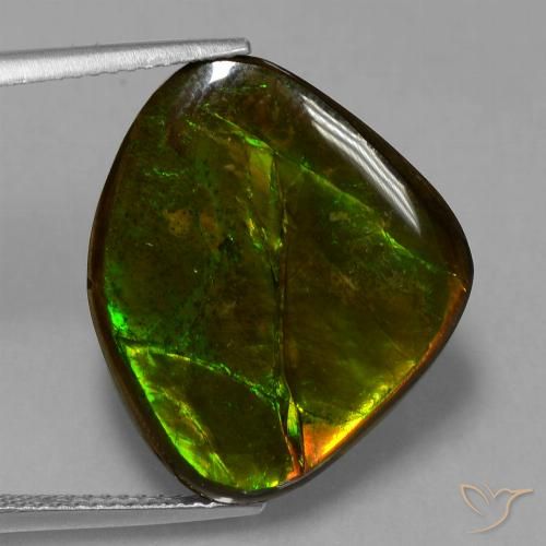 14.70ct Natural Multicolorido amolita, Chique, Opaco