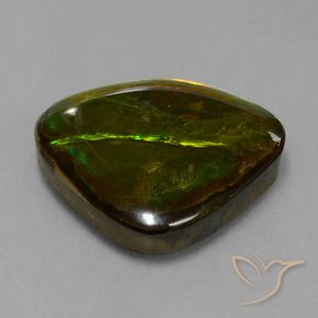 amolita Multicolorido Natural 14.70ct, Chique, Opaco