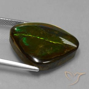 amolita Multicolorido Natural 14.70ct, Chique, Opaco