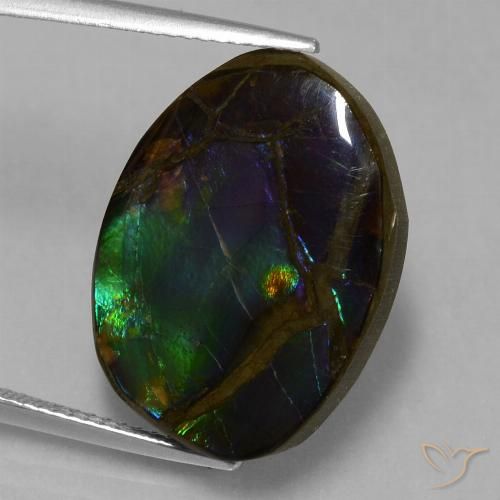 13.58ct Natural Multicolorido amolita, Chique, Opaco
