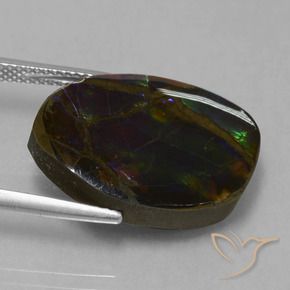 amolita Multicolorido Natural 13.58ct, Chique, Opaco