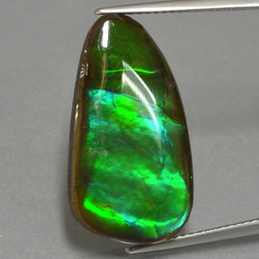 Ammolita multicolorido natural 12,83ct, forma extravagante, opaco