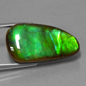 Ammolita multicolorido natural 12,83ct, forma extravagante, opaco