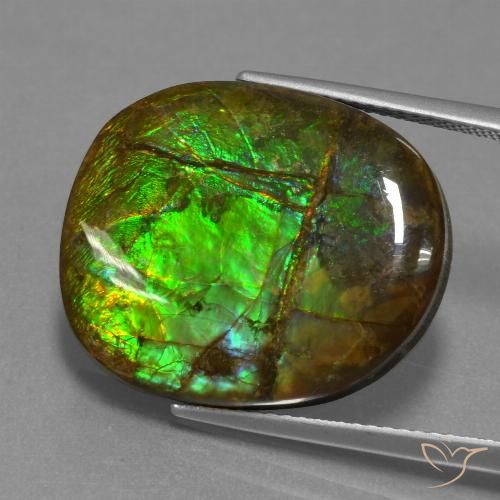 16.29ct Natural Multicolorido amolita, Chique, Opaco