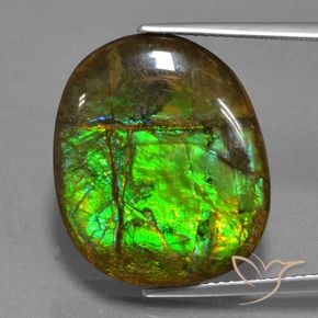 amolita Multicolorido Natural 16.29ct, Chique, Opaco