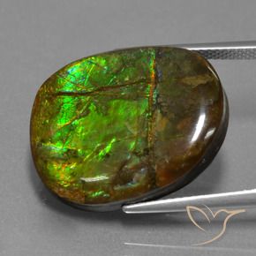amolita Multicolorido Natural 16.29ct, Chique, Opaco