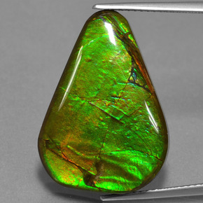 Ammolita multicolorido natural 17,46ct, forma extravagante, opaco