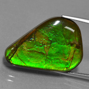 Ammolita multicolorido natural 17,46ct, forma extravagante, opaco