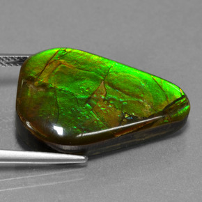 Ammolita multicolorido natural 17,46ct, forma extravagante, opaco
