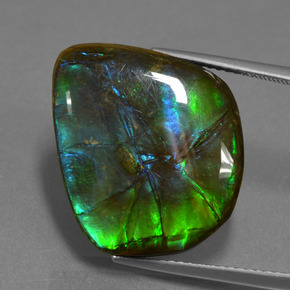 Ammolita multicolorido natural 15,30ct, forma extravagante, opaco
