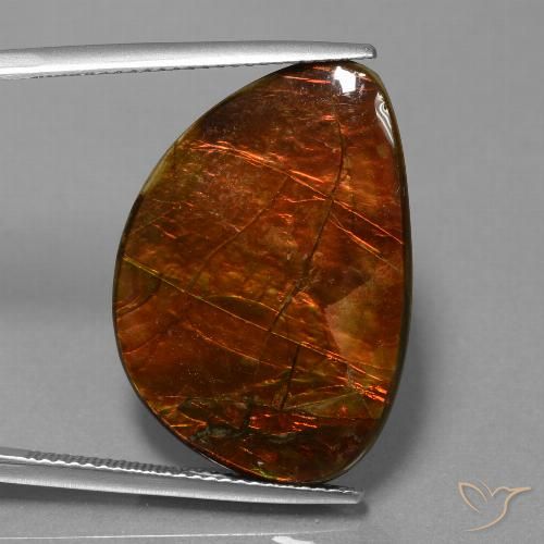 18.53ct Natural Multicolorido amolita, Chique, Opaco