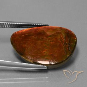amolita Multicolorido Natural 18.53ct, Chique, Opaco